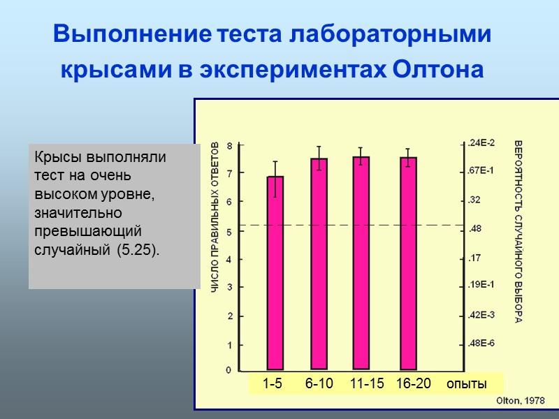 Выполнение теста лабораторными крысами в экспериментах Олтона    1-5   